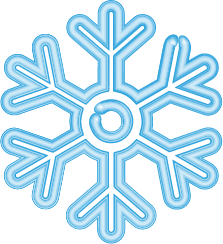 Floco de Neve